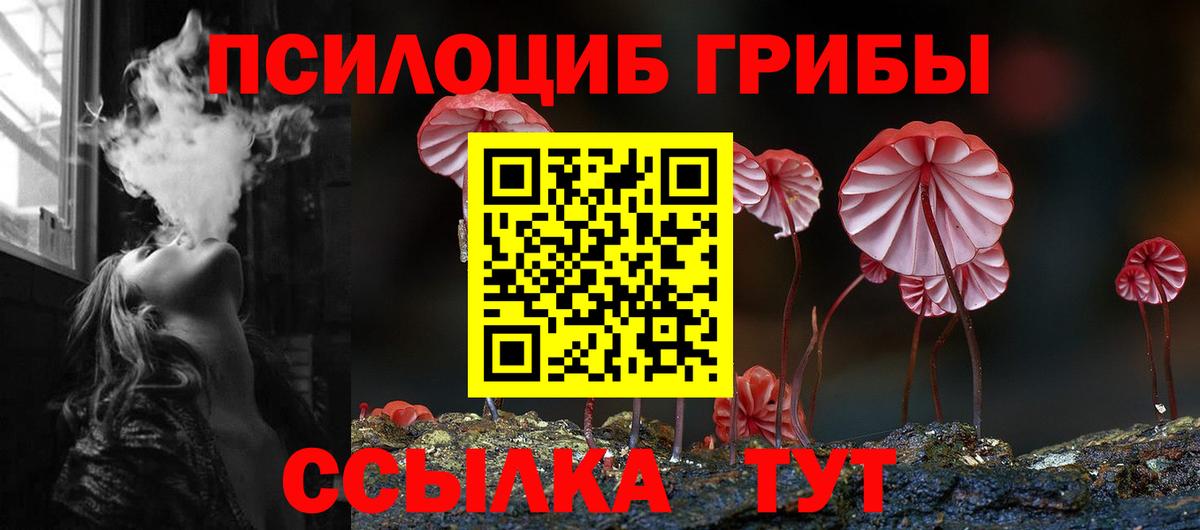 Псилоцибиновые грибы Psilocybine cubensis  Галлюциногенные грибы мухоморы  Волоколамск  Вход с VPN 